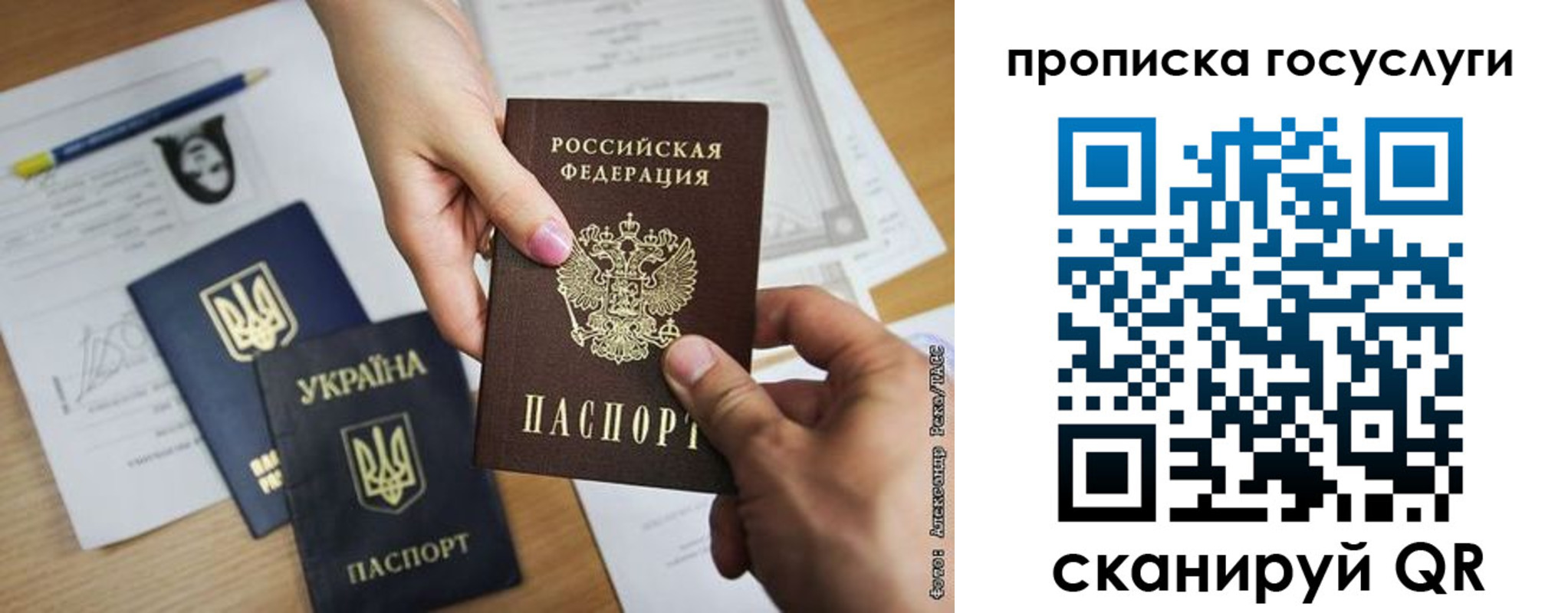 прописка в Боровичах